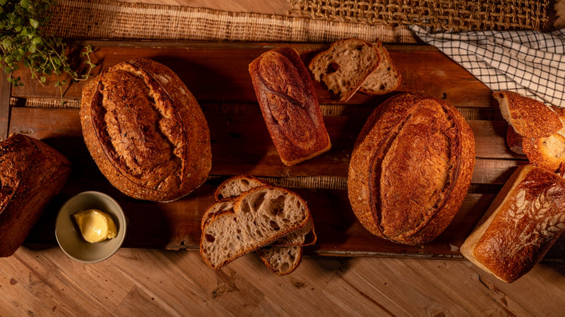 What’s the Big Deal about Sourdough?